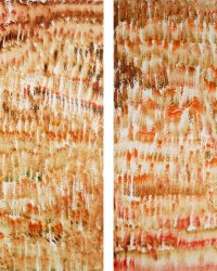 Mutazioni autunnali R A, 2003, olio su tela, cm 80x120